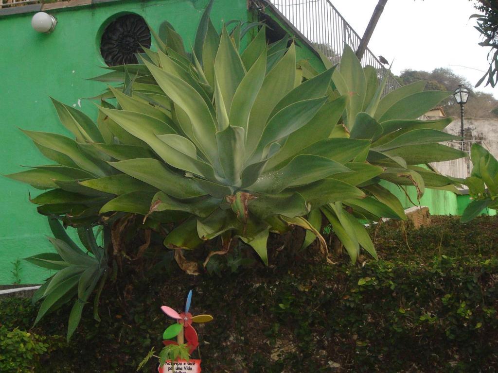 Pousada Xato Miguel Pereira Buitenkant foto